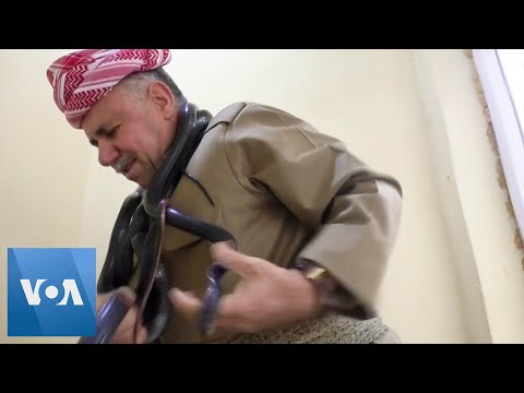 Iraqi Kurd Passionately Raises Snakes and Uses Their Skin for Remedies.