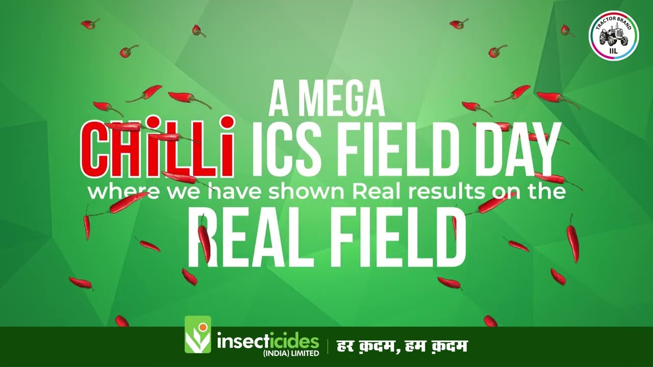 IIL ICS Plot Chilli Crop Demo | Best Crop Protection Products for Chilli Farmers