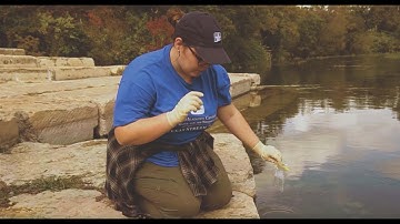 E.coli Water Quality Monitoring