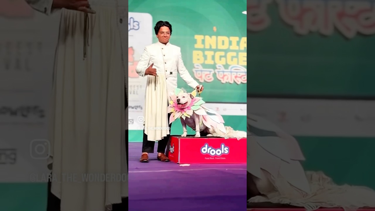 Rampwalk of the year 