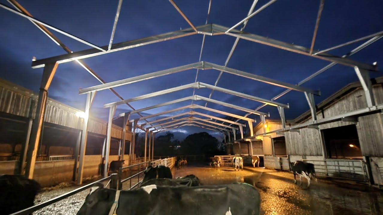 [Молочное животноводство] [НОВОЕ СТРОИТЕЛЬСТВО] [Зимние работы в самом разгаре] 