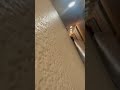 Angry Fighting Neighbors!!!