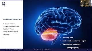 Silvia Tolu - From Computational Neuroscience to Autonomous Robotics and back