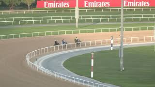 MEYDAN TRIALS 180226 TRIAL 4
