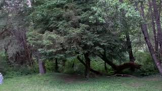 Surprise Thunderstorm In A Heat Wave.