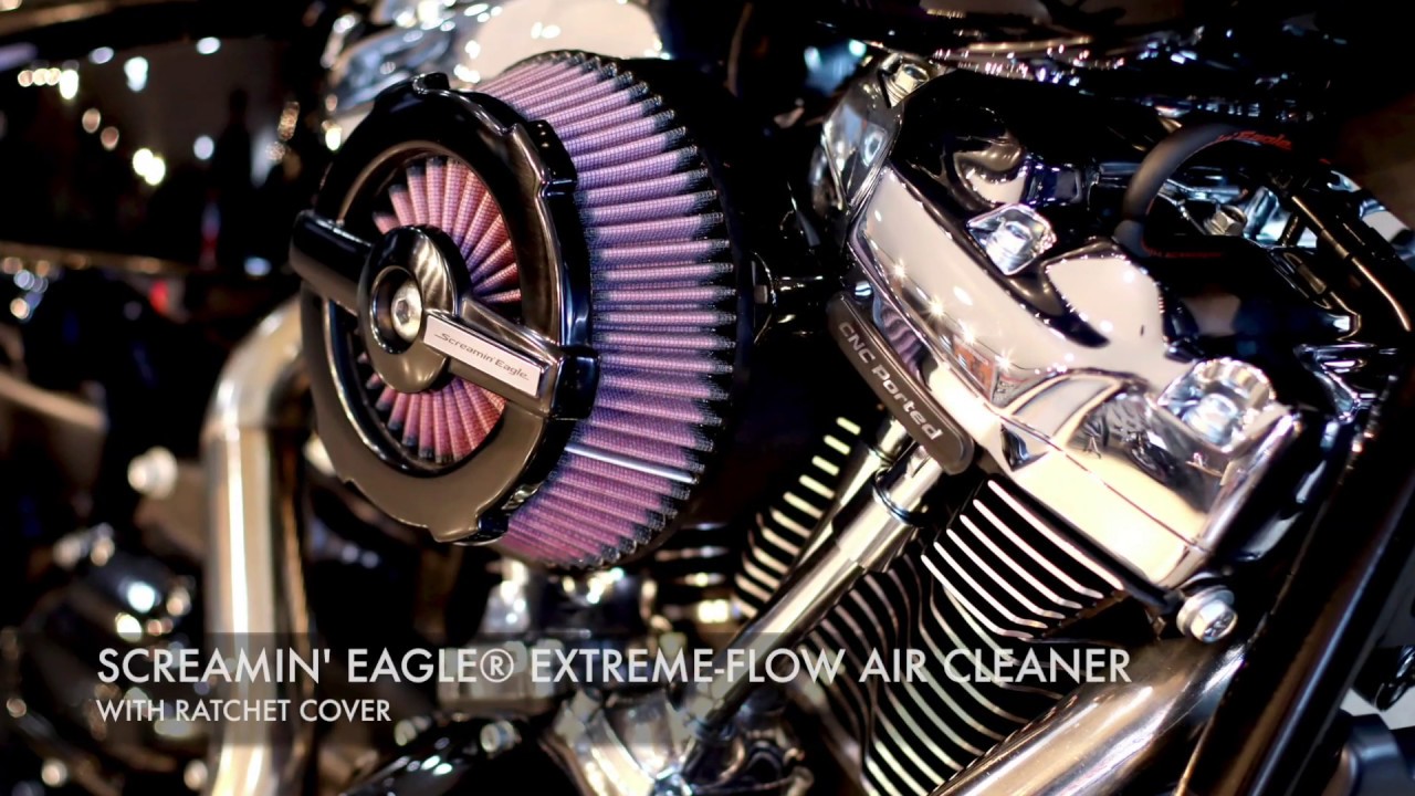 2019 HARLEY-DAVIDSON FAT BOY MIDNIGHT CHAOS