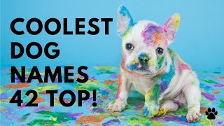🐾 Coolest Dog Names 💚 42 TOP ✔️ COOL ✔️ Ideas | Names
