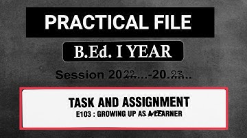 Ccsu bed first year growing up as a learner practical file || Ccsu bed first year assignment