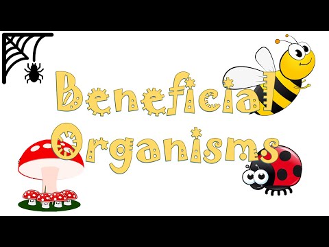 Beneficial Organisms