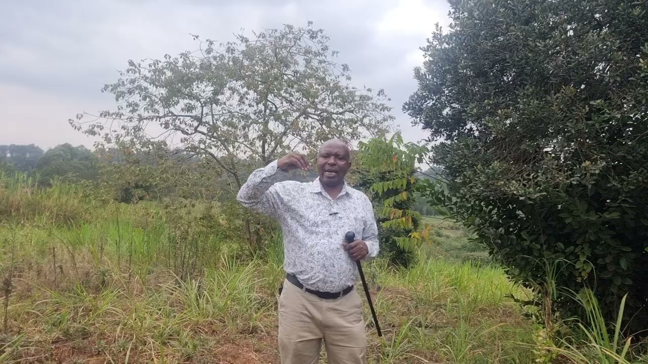 Ndigano ya mũgĩkũyũ na mũndũ wa rũrĩrĩ rũngĩ.