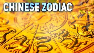 Asal Usul 12 Shio / Zodiak China