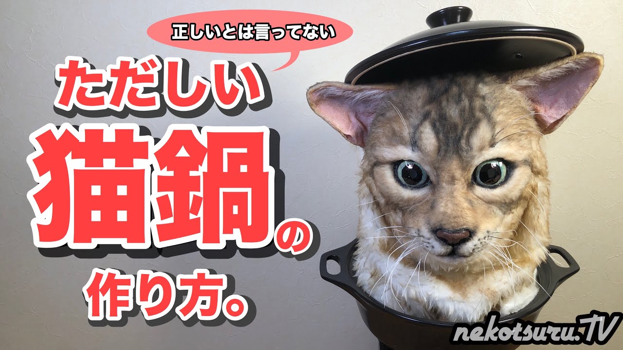 猫鍋のただしい作り方。子猫でかわいい猫鍋作りにチャレンジしましょう