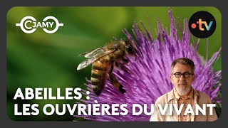 Les Abeilles, Pees Héroïnes De La Nature - Le Monde Merveilleux Des Animaux Terrestres - C Jamy