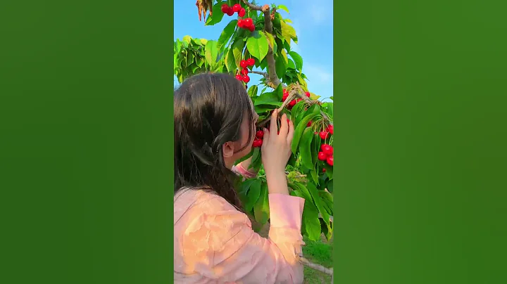 让我尝尝大连人最近一日三餐吃的樱桃什么味#天竺少女#唐艺大舞台 - 天天要闻