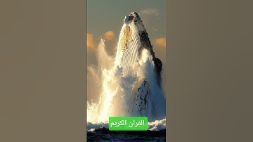 تلاوة خاشعة جدا القران الكريم نور الحياة الشيخ سعود الشريم