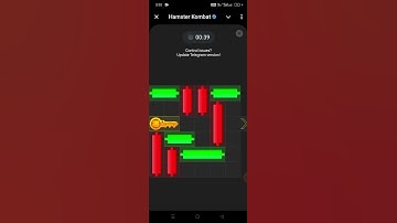 Key 25! 13 August How to Solve Mini Game PUZZLE in Hamster Kombat | 100% Solved