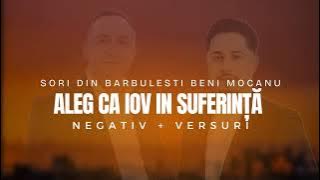 ALEG CA IOV IN SUFERINȚĂ - [Negativ Original]