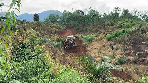 Strategy to Quickly Build Plantation Roads Using a CAT D6R XL Bulldozer