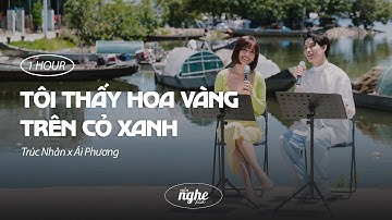 Tôi Thấy Hoa Vàng Trên Cỏ Xanh - Trúc Nhân x Ái Phương | 1 HOUR LOOP
