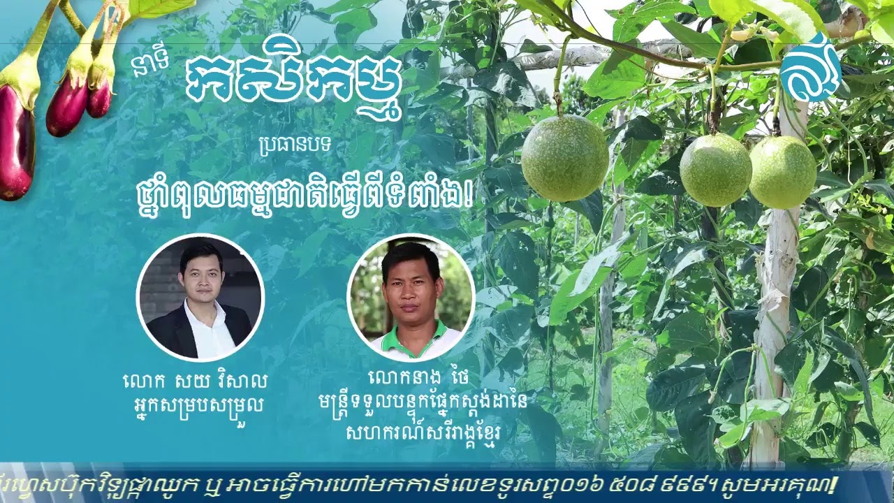 ថ្នាំពុលធម្មជាតិធ្វើពីទំពាំង!