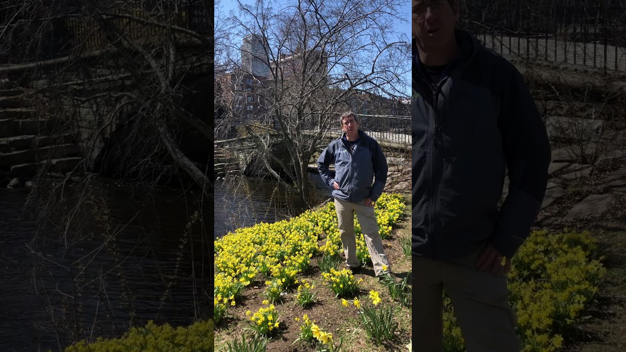 Where did those flowers come from?