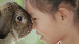 Celebrating 150 Years of Protecting Animals and Building a More Humane World