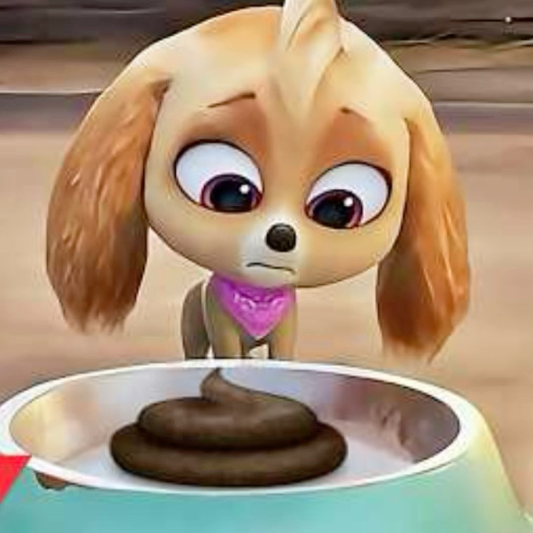 COITADINHA DA SKYE- PATRULHA CANINA #shorts