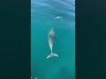 VID 20250430 WA0020 VID 20250430 WA0020