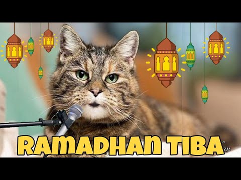 Ramadhan Tiba versi memeichan || menjelang puasa Ramadhan