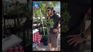 plant grower