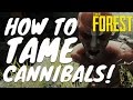 HOW TO MAKE CANNIBALS PASSIVE!- NO CHEATS, NO RED PAINT, IN NORMAL MODE! (The Forest Tutorial)