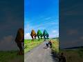Big dinosaur jurassic world t-rex part68#dinosaur #trending#jurassicworld #vfxshorts #dinosaur