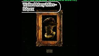 Walked Many Miles - BApex (MUSIC LYRIC VIDEO)