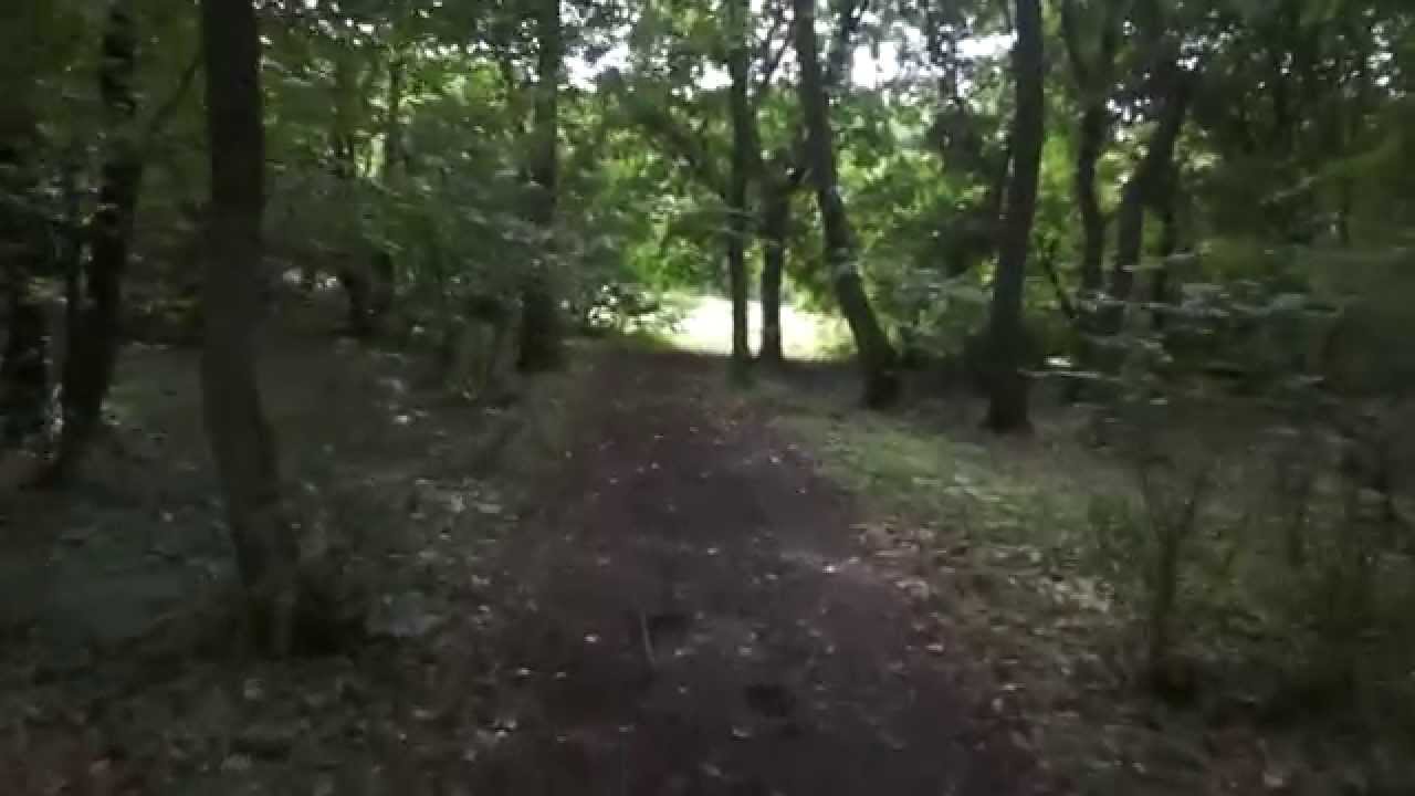 Hoia Baciu Forest The Notorious Circle 26 July 14 Youtube Hoia Baciu Forest The Notorious Circle 26 July 14 Youtube