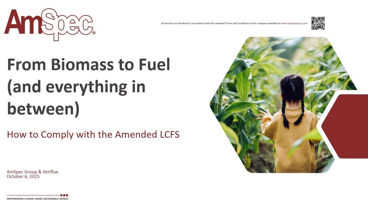 From Biomass to Fuel (and everything in between)