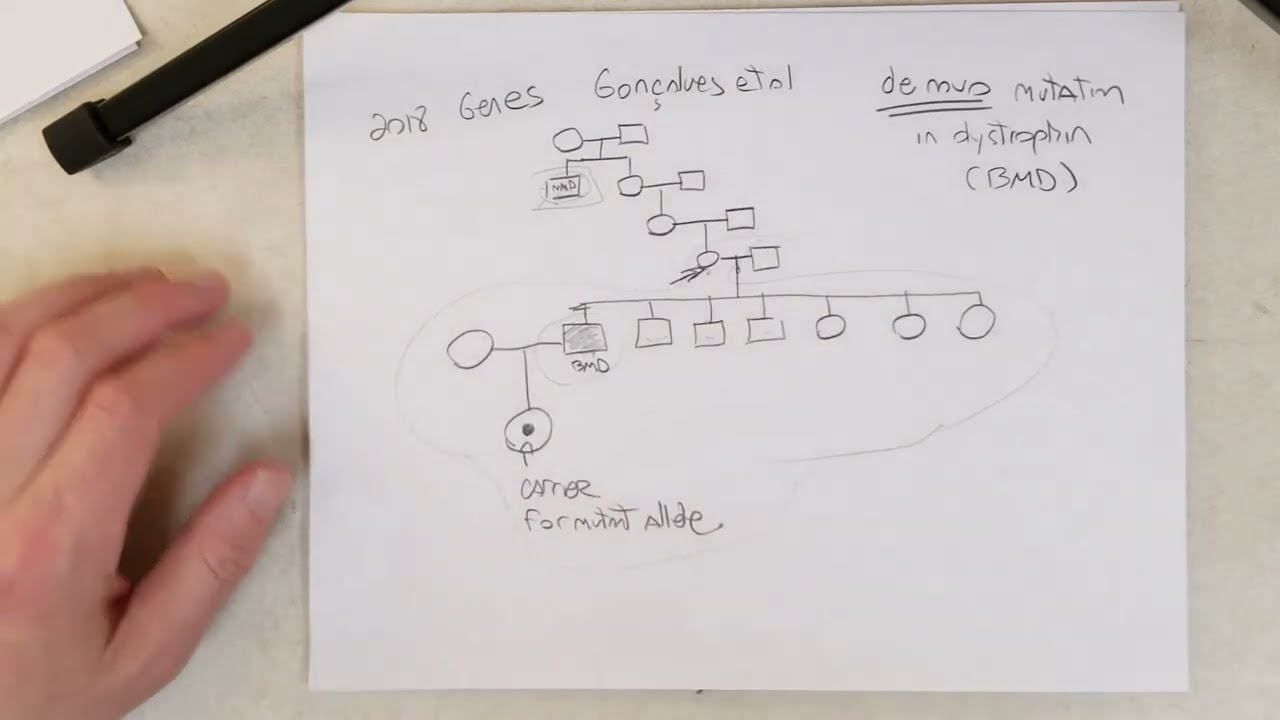 LINE-induced mutation (Recommend 1.5x Speed)