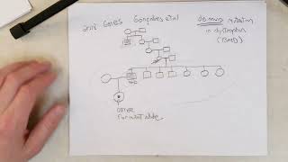 LINE-induced mutation (Recommend 1.5x Speed)