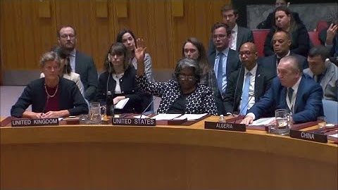 US blocks UN call for Gaza ceasefire in third veto | REUTERS