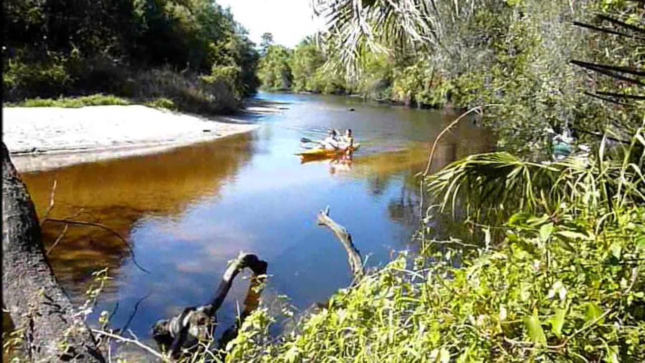 Rye Wilderness Preserve & Campground Manatee County Florida YouTube