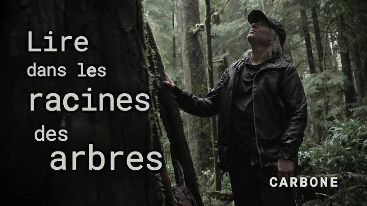 Carbone | Les secrets des arbres anciens rvls par ...