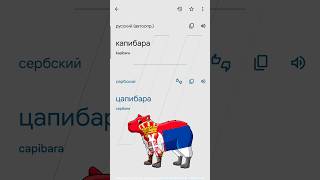 Капибара учит языки 🌍🦫 👉 #журналдобра