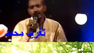 عصام محمد نور  كيف لا اعشق جمالك  تغريد محمد