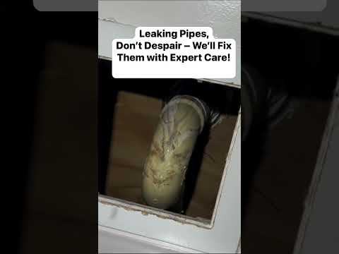 #licensedplumber #plumbingrepair #plumbingproblems #plumbingsolutions #localplumber #pipesrepair