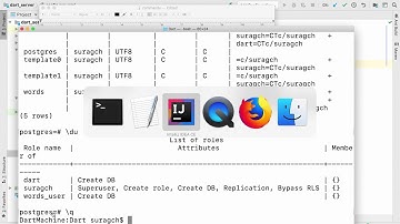 Lesson 16 - Server Side Dart: Testing setup