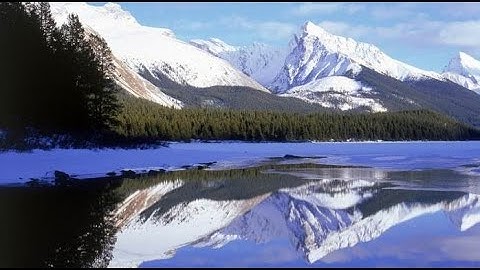 الجزء الرابع من القرآن الكريم سعود الشريم وعبد الرحمن السديس