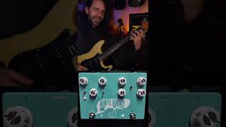 One of the Greatest Pedals Ever || Whate Whale Spring Reverb & Trem #guitar #guitartone #surf #rock