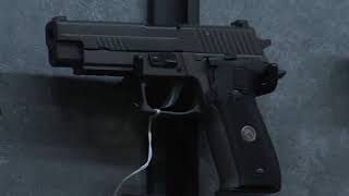 Indiana and Illinois gun laws