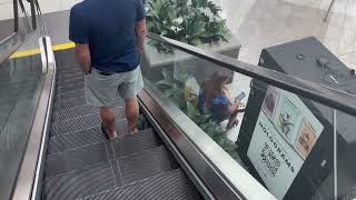 OTIS Down Escalator at Macy’s at Menlo Park Mall - Edison NJ