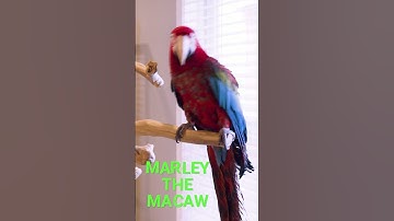 Built to Fly: The Ultra-Tough OWC Envoy Pro Elektron