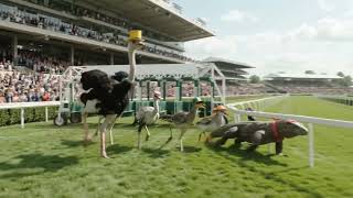The Ultimate Animal Race Who Wins The Grand Prix?